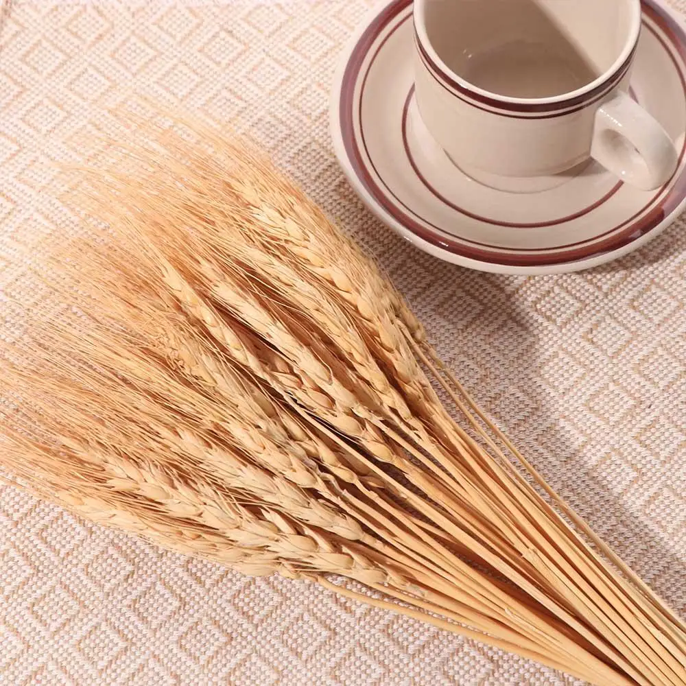 50 szt. Sztuczne kwiaty, natur – Dried Flower Bulk recenzja i cena