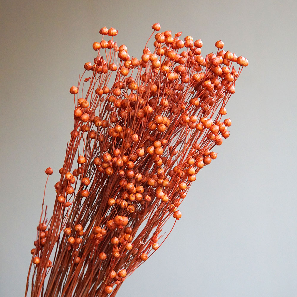 35g/Zachowane naturalne kwiaty – Dried Flower Bulk recenzja i cena