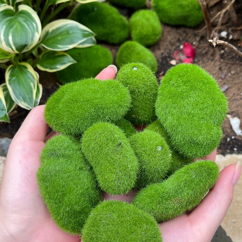 5/30 szt. Symulowane kamienie  – Terrarium Moss Art recenzja i cena