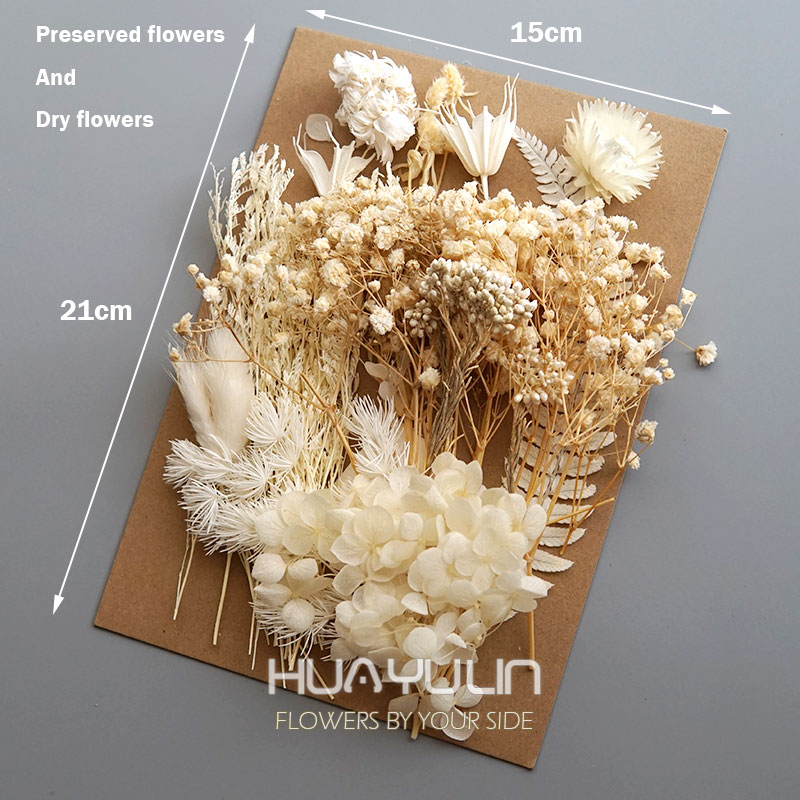 1 opakowanie sztuczne rośliny  – Flower Preservation Resin recenzja i cena